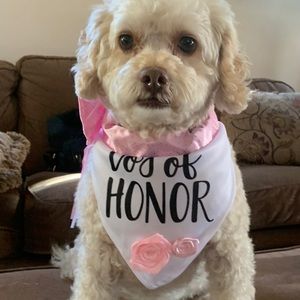 Dog of honor bandana